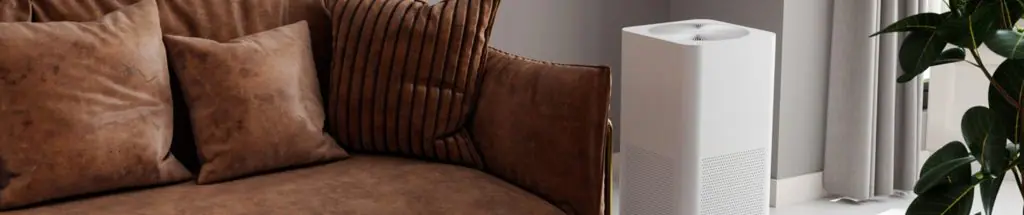 How to Improve Indoor Air Quality