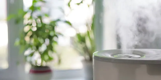 A white air purifier siting by a window with plants on the window sill.