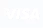 "Visa" is in light gray block letters.