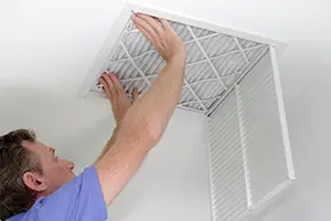 How to Choose the Best Air Purifier for Your Home
